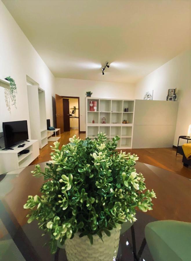 Loft Zona Histórica Clérigos Porto Apartamento Exterior foto